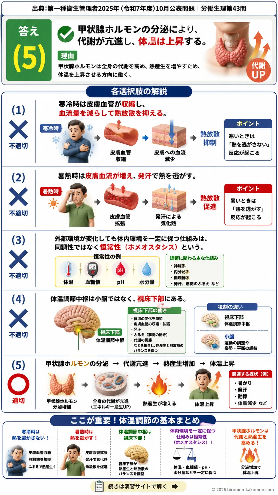 【第一種衛生管理者過去問】2025年10月公表問題｜問43｜体温調節の仕組みとホメオスタシス・甲状腺ホルモン｜労働生理を解説する画像__1syu-2025-10-seiri-q43