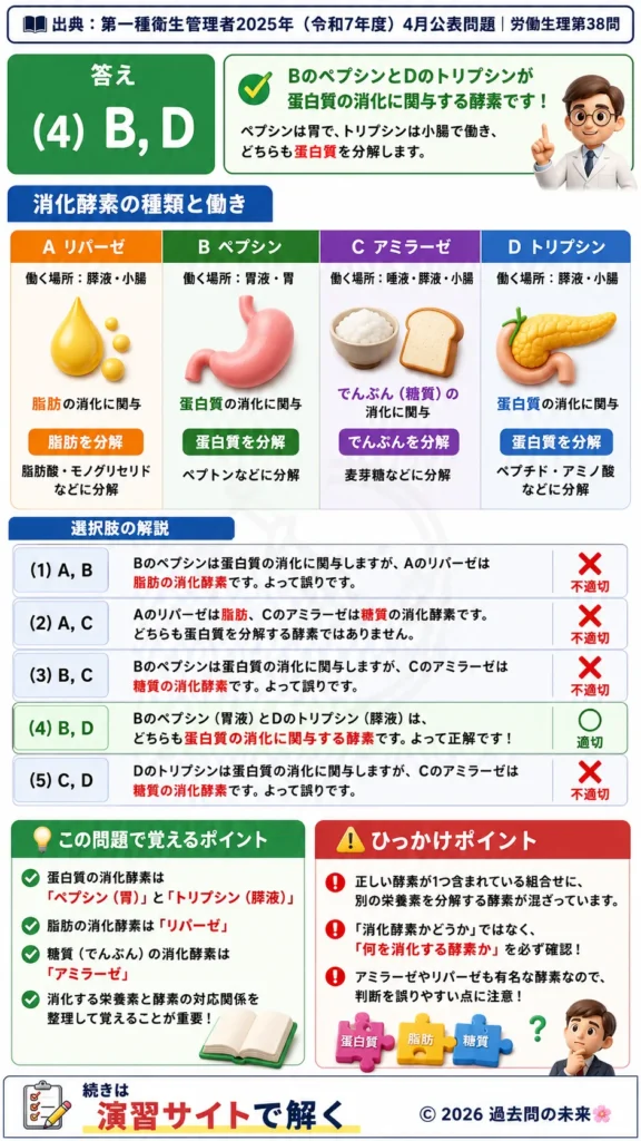 【第一種衛生管理者過去問】2025年4月公表問題｜問38｜消化酵素の種類と蛋白質の消化機能｜労働生理を解説する画像__1syu-2025-04-seiri-q38