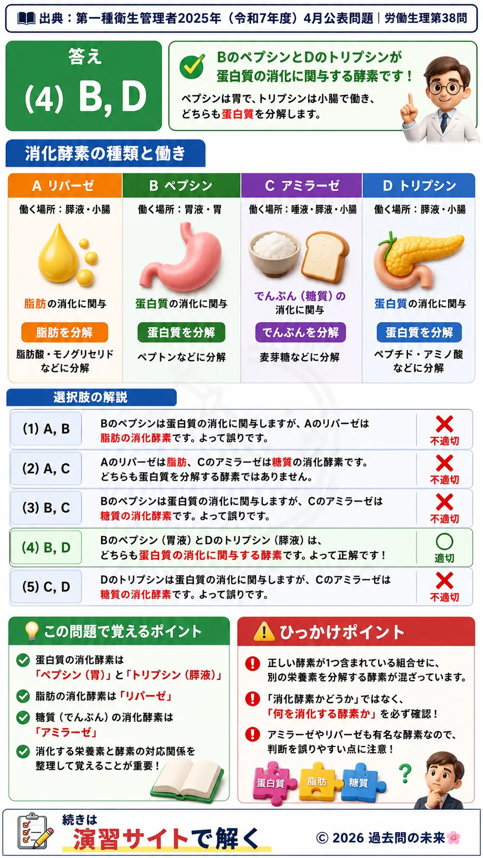 【第一種衛生管理者過去問】2025年4月公表問題｜問38｜消化酵素の種類と蛋白質の消化機能｜労働生理を解説する画像__1syu-2025-04-seiri-q38