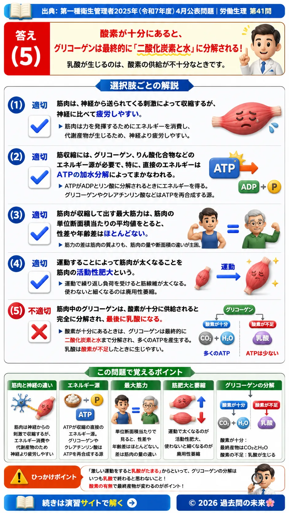 【第一種衛生管理者過去問】2025年4月公表問題｜問41｜筋肉とグリコーゲンとATP｜労働生理を解説する画像__1syu-2025-04-seiri-q41