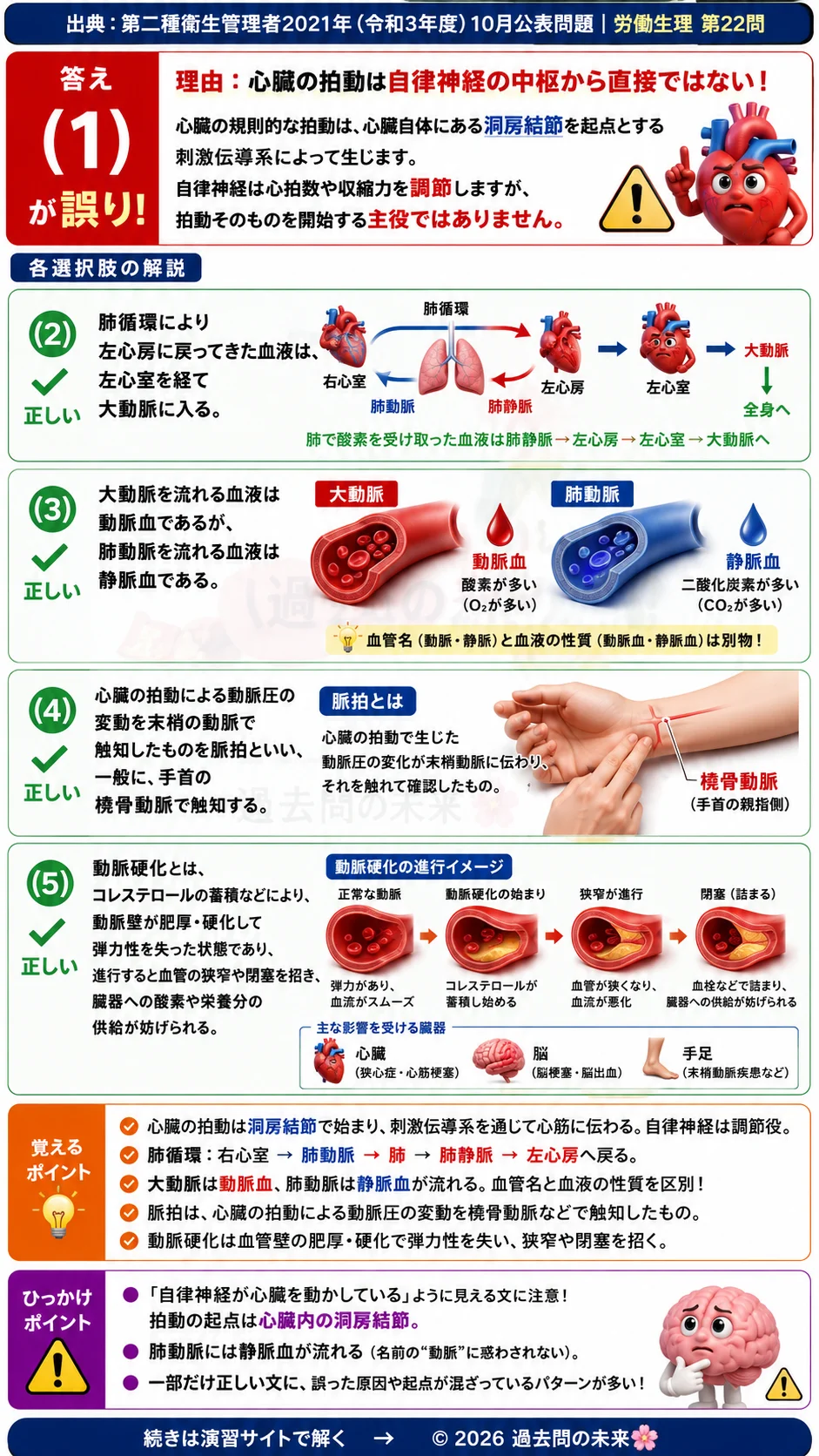 【第二種衛生管理者過去問】2021年10月公表問題｜問22｜心臓と血液循環の基礎知識｜肺循環・脈拍・動脈硬化の仕組み｜労働生理を解説する画像__2syu-2021-10-seiri-q22