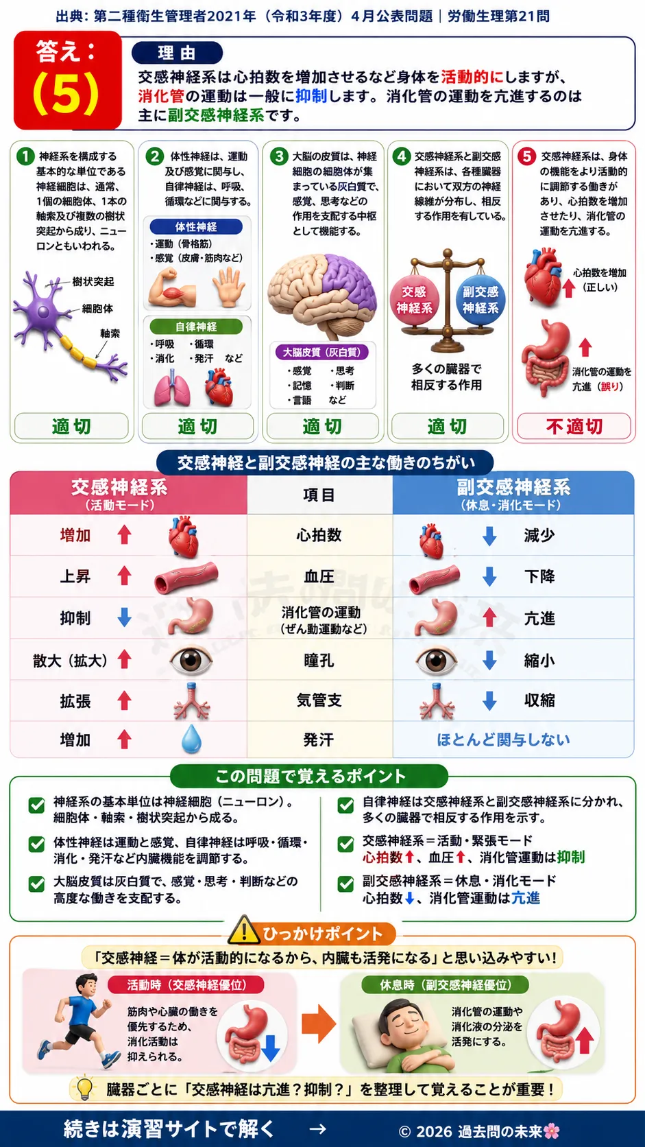 【第二種衛生管理者過去問】2021年4月公表問題｜問21｜神経系の仕組みと自律神経の働き｜交感神経・副交感神経の基礎知識｜労働生理を解説する画像__2syu-2021-04-seiri-q21