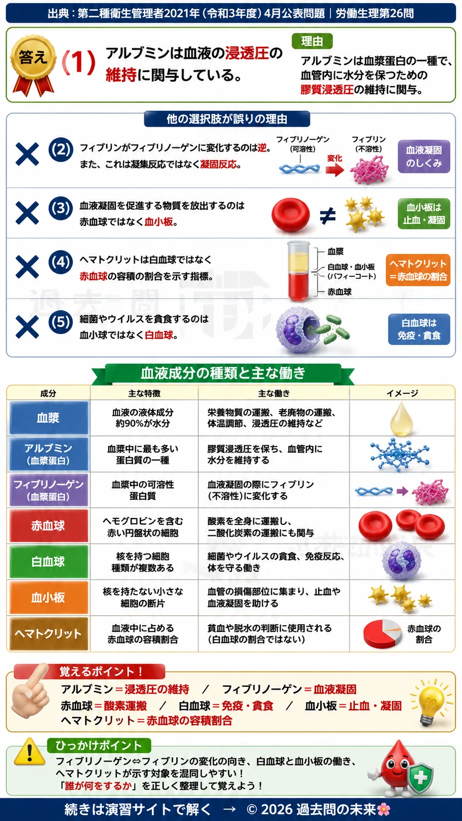 【第二種衛生管理者過去問】2021年4月公表問題｜問26｜血液の働きと血液成分の基礎知識｜アルブミン・血小板・ヘマトクリット｜労働生理を解説する画像__2syu-2021-04-seiri-q26