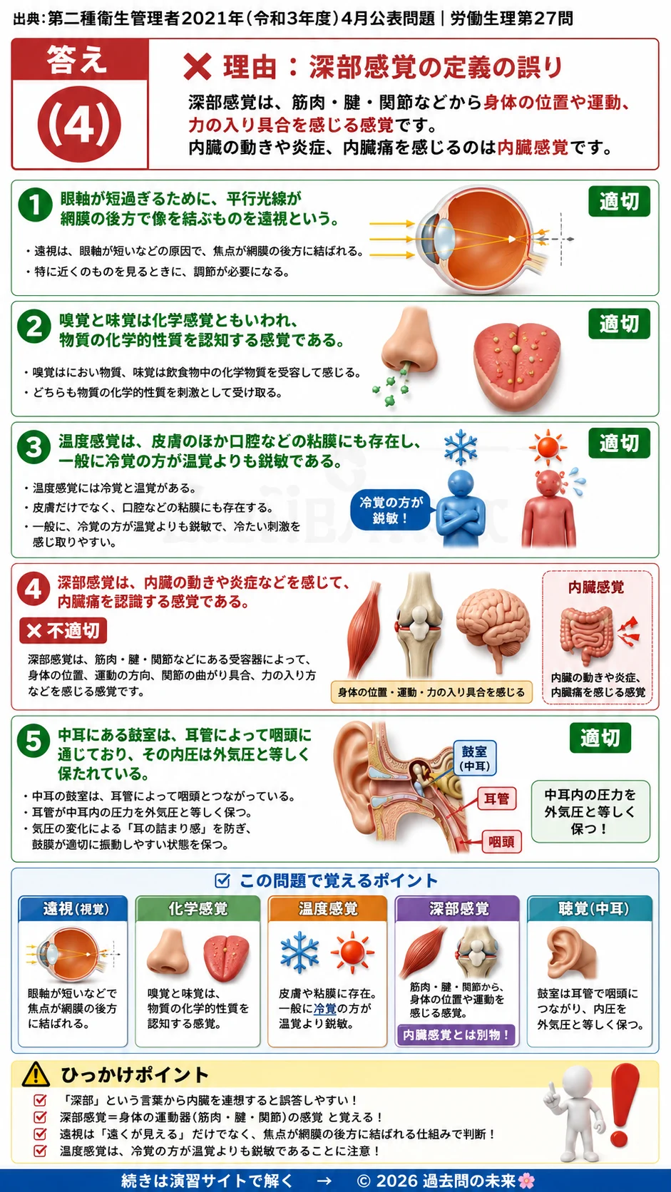 【第二種衛生管理者過去問】2021年4月公表問題｜問27｜感覚器の仕組みと感覚の種類｜深部感覚・温覚・聴覚の基礎知識｜労働生理を解説する画像__2syu-2021-04-seiri-q27