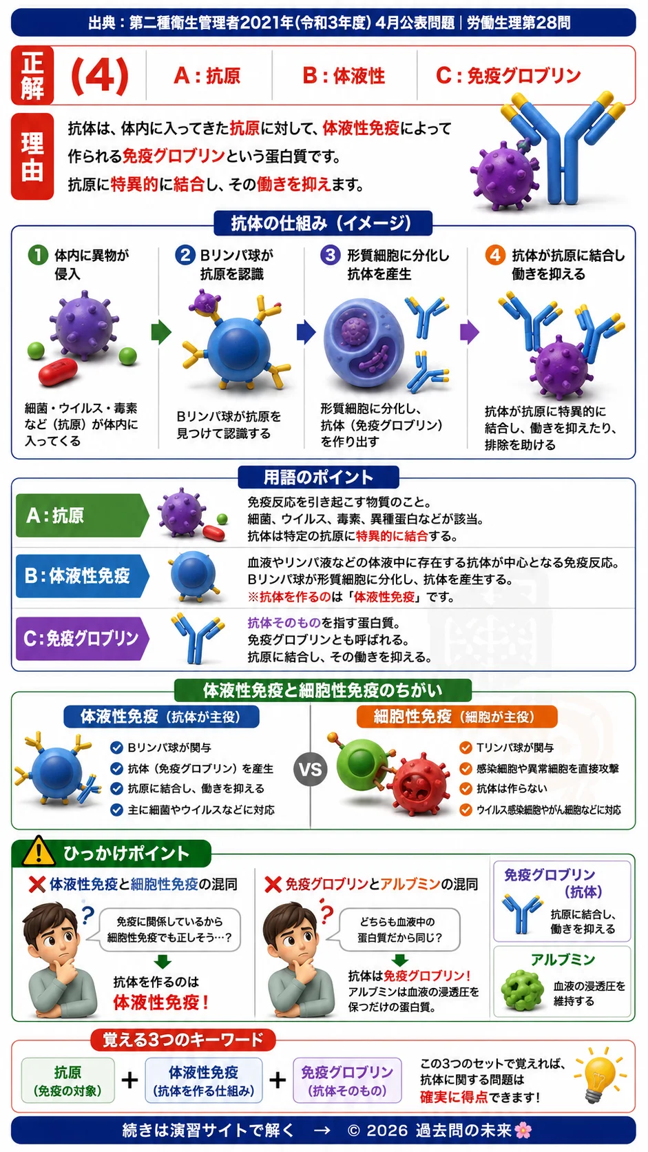 【第二種衛生管理者過去問】2021年4月公表問題｜問28｜抗体と免疫の仕組み｜抗原・体液性免疫・免疫グロブリンの基礎知識｜労働生理を解説する画像__2syu-2021-04-seiri-q28