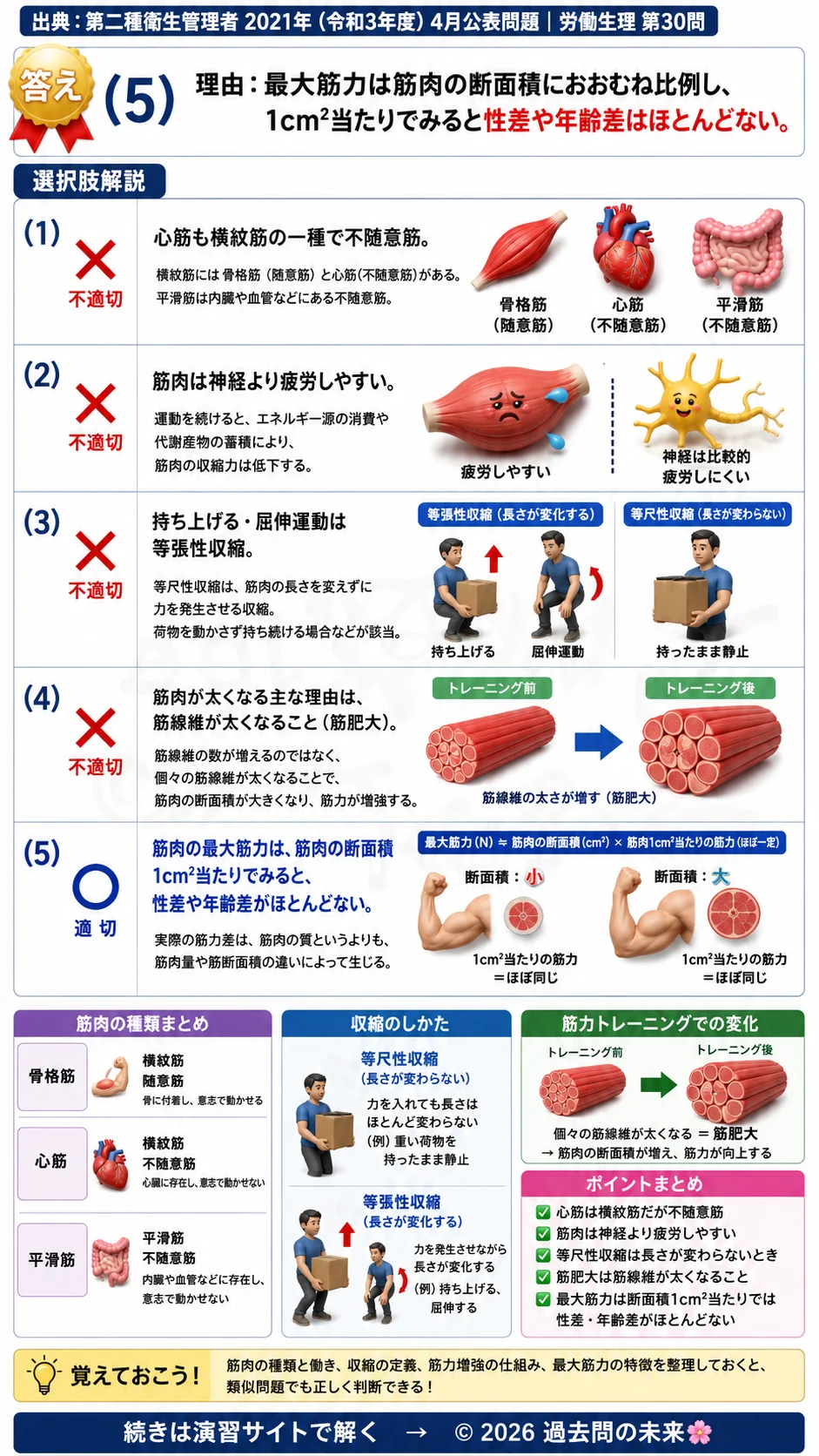 【第二種衛生管理者過去問】2021年4月公表問題｜問30｜筋肉の仕組みと筋収縮｜横紋筋・等尺性収縮・筋力の基礎知識｜労働生理を解説する画像__2syu-2021-04-seiri-q30