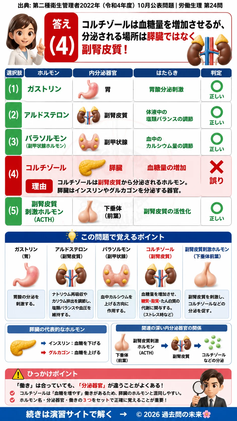【第二種衛生管理者過去問】2022年10月公表問題｜問24｜ホルモンと内分泌器官の働き一覧｜副腎・下垂体・膵臓の役割｜労働生理を解説する画像__2syu-2022-10-seiri-q24