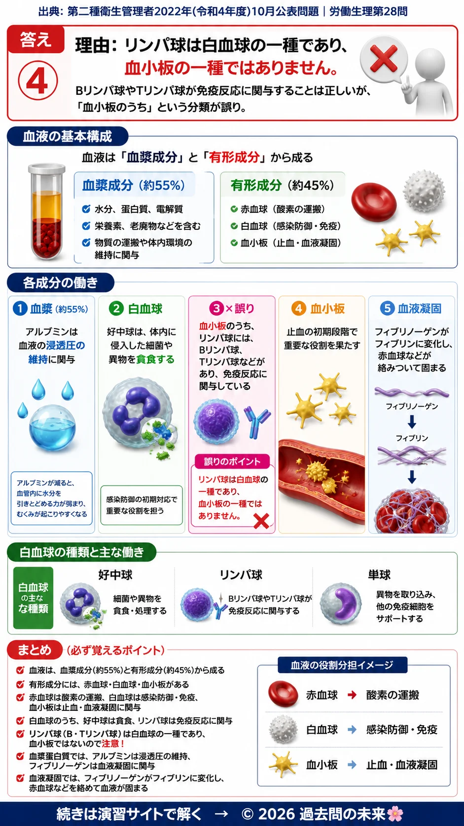 【第二種衛生管理者過去問】2022年10月公表問題｜問28｜血液の成分と免疫機能｜白血球・血小板・血液凝固の基礎知識｜労働生理を解説する画像__2syu-2022-10-seiri-q28