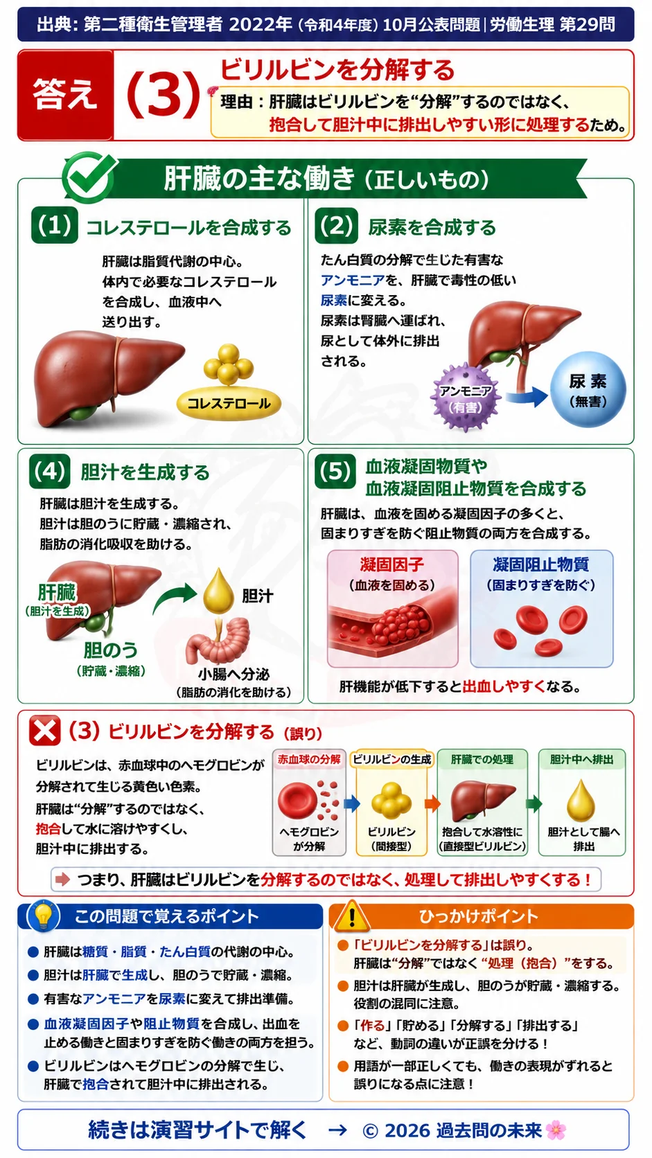 【第二種衛生管理者過去問】2022年10月公表問題｜問29｜肝臓の働きと代謝機能一覧｜胆汁・尿素・血液凝固因子の役割｜労働生理を解説する画像__2syu-2022-10-seiri-q29