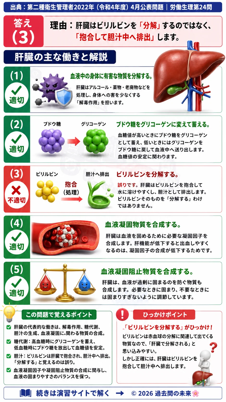 【第二種衛生管理者過去問】2022年4月公表問題｜問24｜肝臓の働きと機能｜解毒・糖代謝・血液凝固因子の基礎知識｜労働生理を解説する画像__2syu-2022-04-seiri-q24