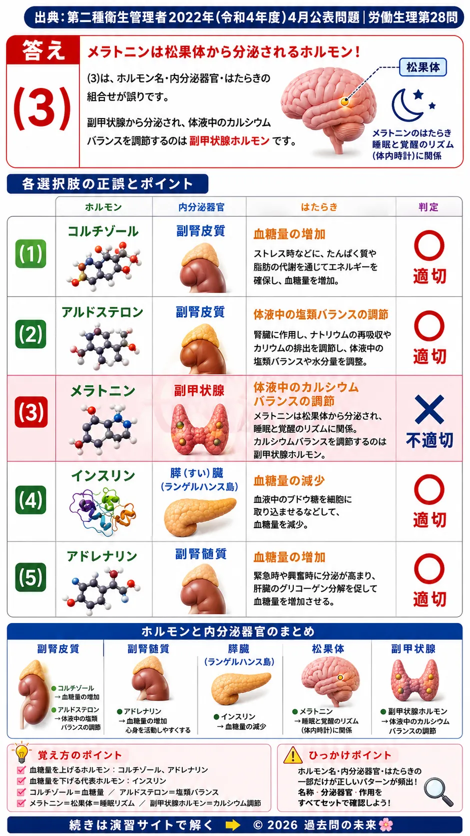 【第二種衛生管理者過去問】2022年4月公表問題｜問28｜ホルモンと内分泌器官の働き｜副腎・膵臓・メラトニンの基礎知識｜労働生理を解説する画像__2syu-2022-04-seiri-q28