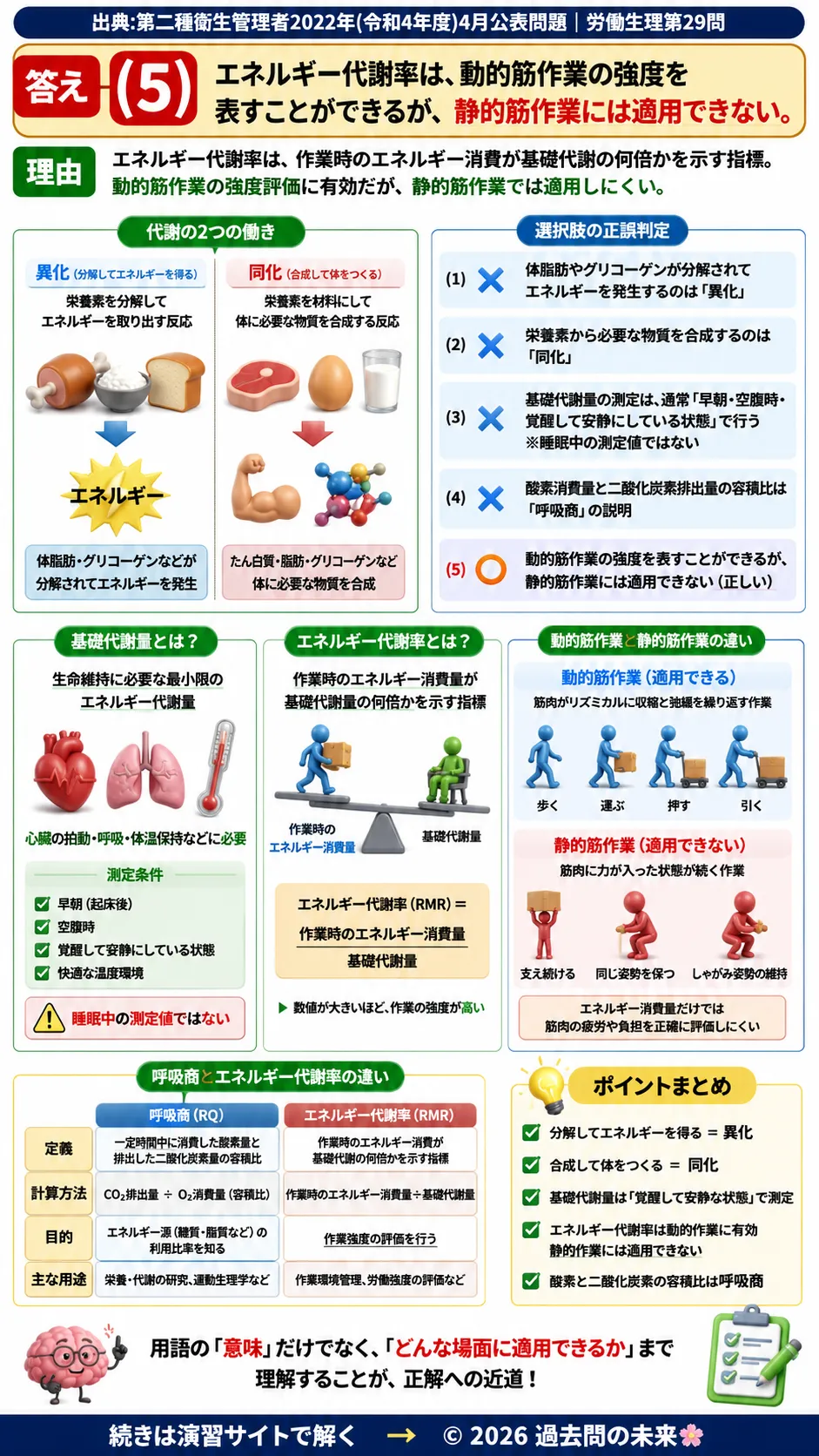 【第二種衛生管理者過去問】2022年4月公表問題｜問29｜代謝の基礎知識｜同化・異化・基礎代謝量・エネルギー代謝率｜労働生理を解説する画像__2syu-2022-04-seiri-q29