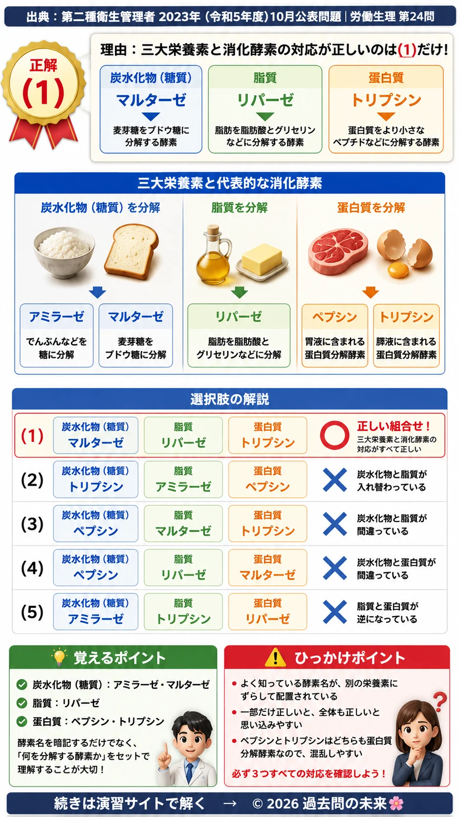 【第二種衛生管理者過去問】2023年10月公表問題｜問24｜三大栄養素の消化酵素一覧｜アミラーゼ・リパーゼ・トリプシン｜労働生理を解説する画像__2syu-2023-10-seiri-q24