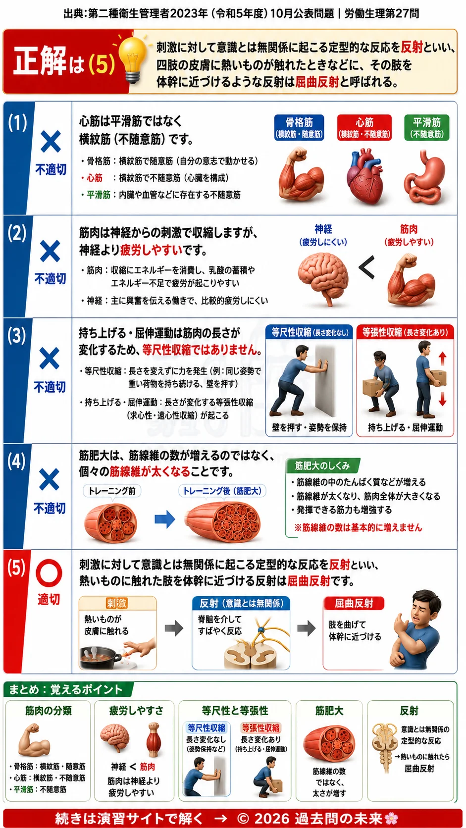 【第二種衛生管理者過去問】2023年10月公表問題｜問27｜筋肉の種類と収縮の仕組み｜反射・等尺性収縮・筋肥大｜労働生理を解説する画像__2syu-2023-10-seiri-q27