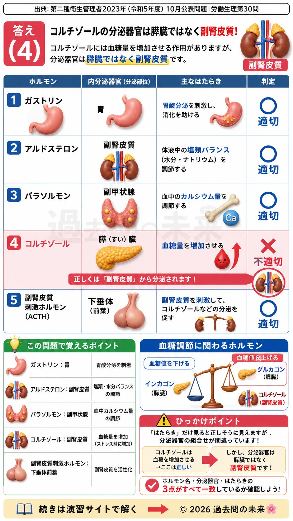 【第二種衛生管理者過去問】2023年10月公表問題｜問30｜ホルモンと内分泌器官の働き一覧｜副腎・下垂体・膵臓の役割｜労働生理を解説する画像__2syu-2023-10-seiri-q30