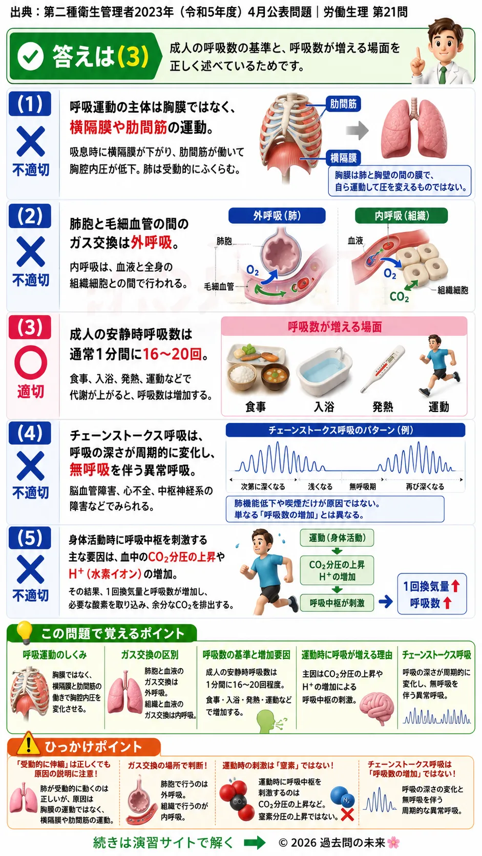【第二種衛生管理者過去問】2023年4月公表問題｜問21｜呼吸の仕組みと呼吸数の変化｜外呼吸・呼吸中枢の基礎知識｜労働生理を解説する画像__2syu-2023-04-seiri-q21