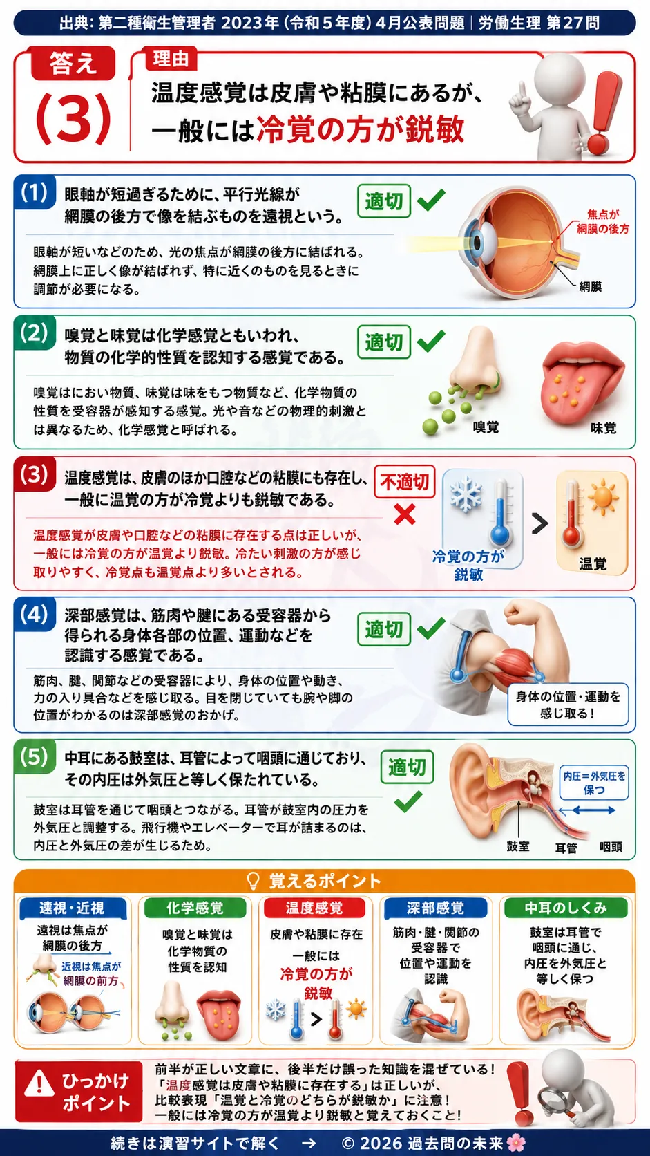 【第二種衛生管理者過去問】2023年4月公表問題｜問27｜感覚器の働きと人体の感覚機能｜視覚・嗅覚・深部感覚の基礎知識｜労働生理を解説する画像__2syu-2023-04-seiri-q27