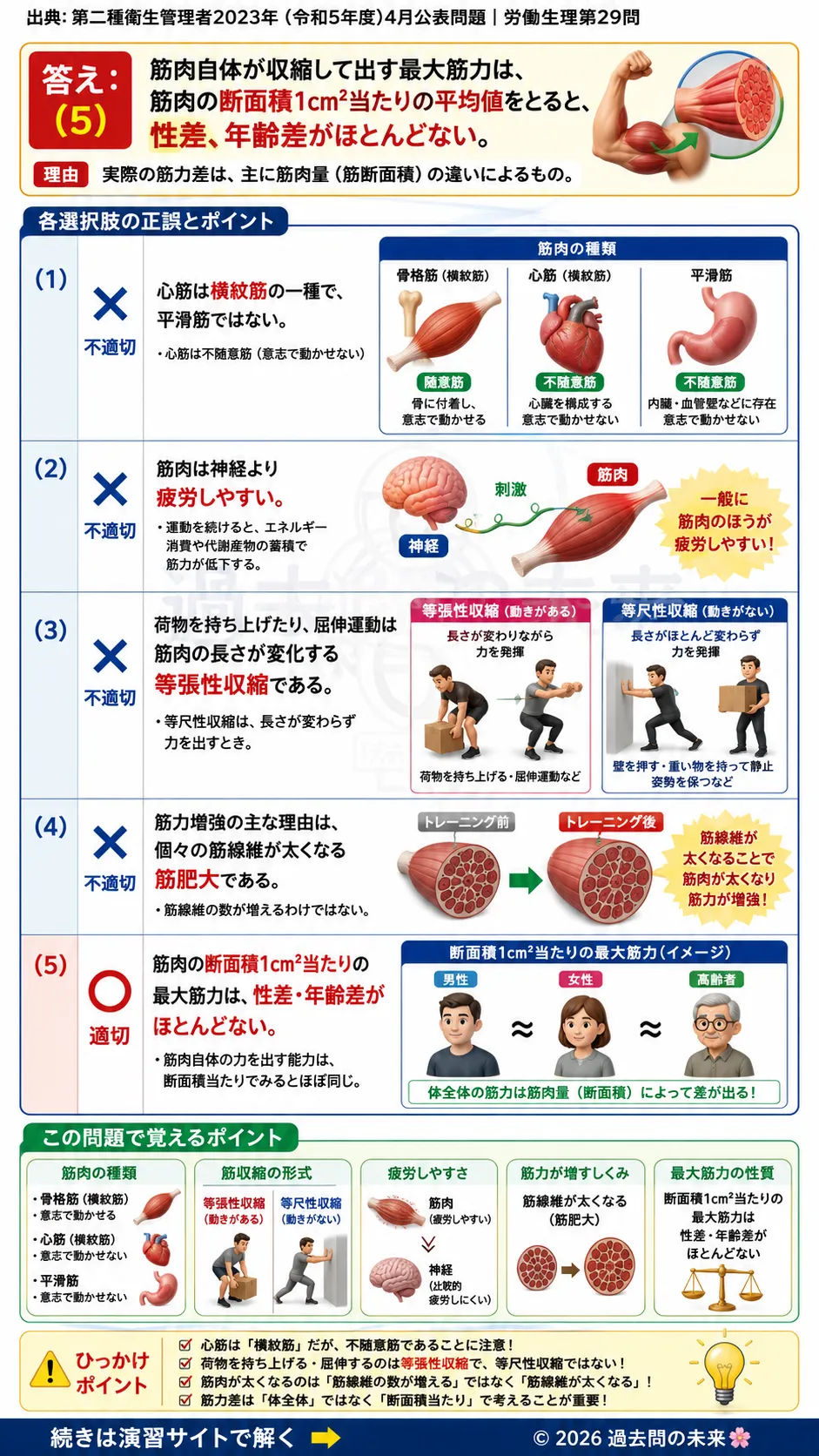 【第二種衛生管理者過去問】2023年4月公表問題｜問29｜筋肉の種類と筋収縮の仕組み｜横紋筋・平滑筋・筋力の基礎知識｜労働生理を解説する画像__2syu-2023-04-seiri-q29