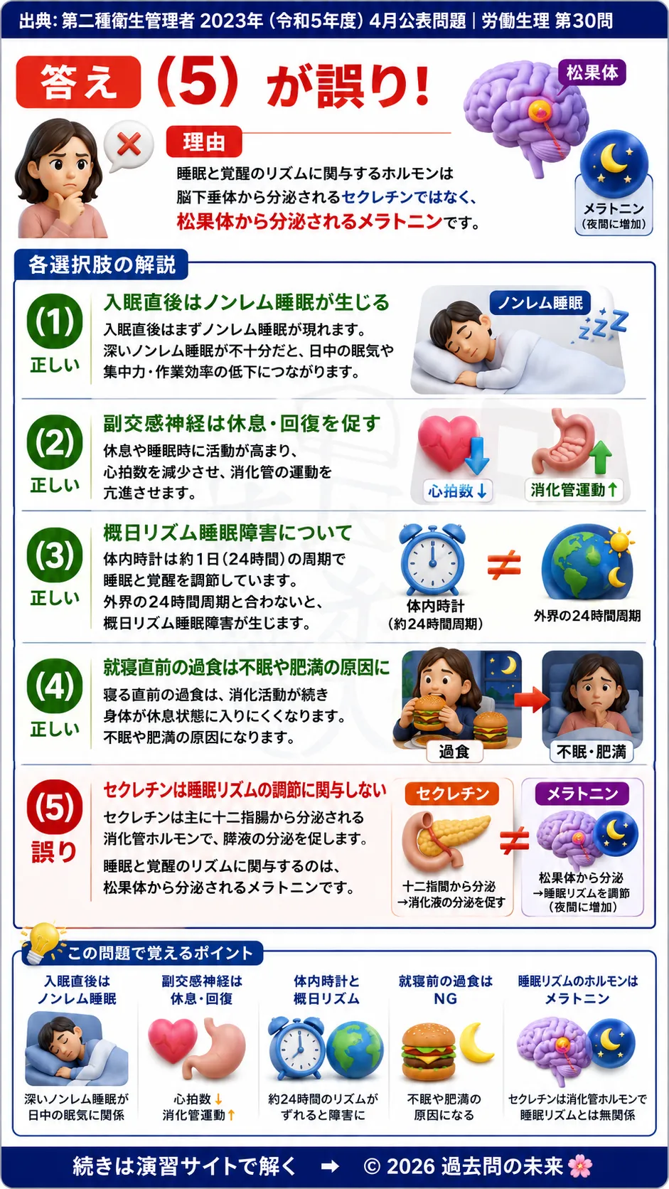 【第二種衛生管理者過去問】2023年4月公表問題｜問30｜睡眠の仕組みと体内時計｜ノンレム睡眠・概日リズム・睡眠障害の基礎知識｜労働生理を解説する画像__2syu-2023-04-seiri-q30