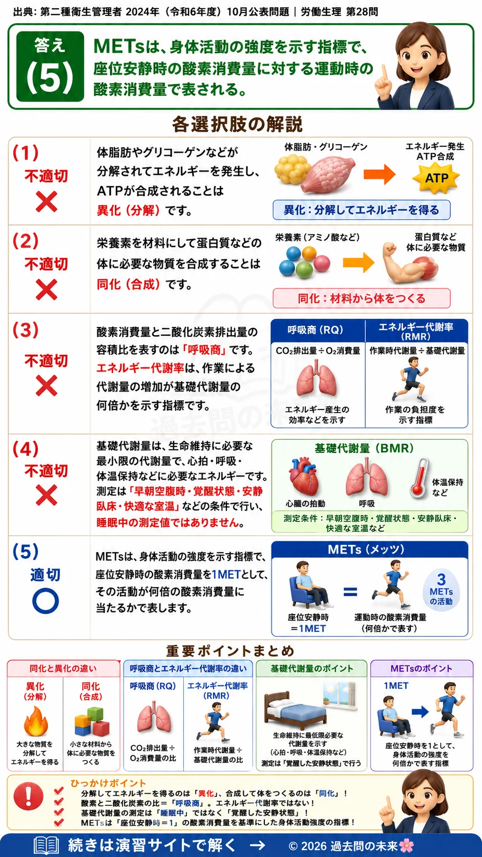 【第二種衛生管理者過去問】2024年10月公表問題｜問28｜代謝の基礎知識とエネルギー代謝率・METsの違い｜労働生理を解説する画像__2syu-2024-10-seiri-q28