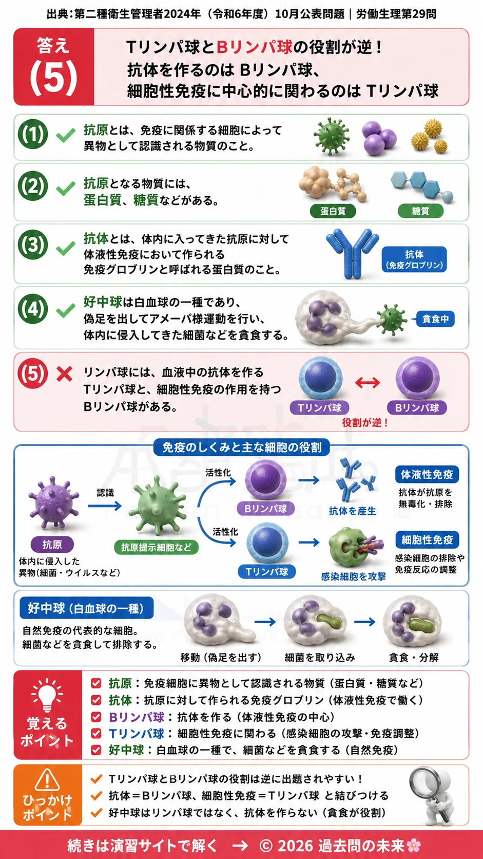 【第二種衛生管理者過去問】2024年10月公表問題｜問29｜免疫の仕組みと抗原・抗体・リンパ球の働き｜労働生理を解説する画像__2syu-2024-10-seiri-q29