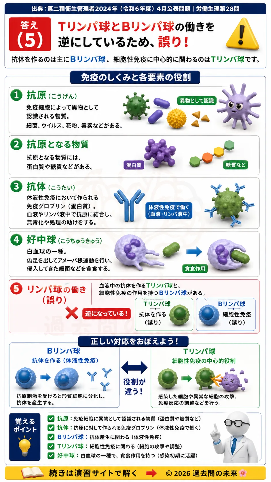 【第二種衛生管理者過去問】2024年4月公表問題｜問28｜免疫の仕組み｜抗原・抗体・リンパ球・体液性免疫の基礎知識｜労働生理を解説する画像__2syu-2024-04-seiri-q28