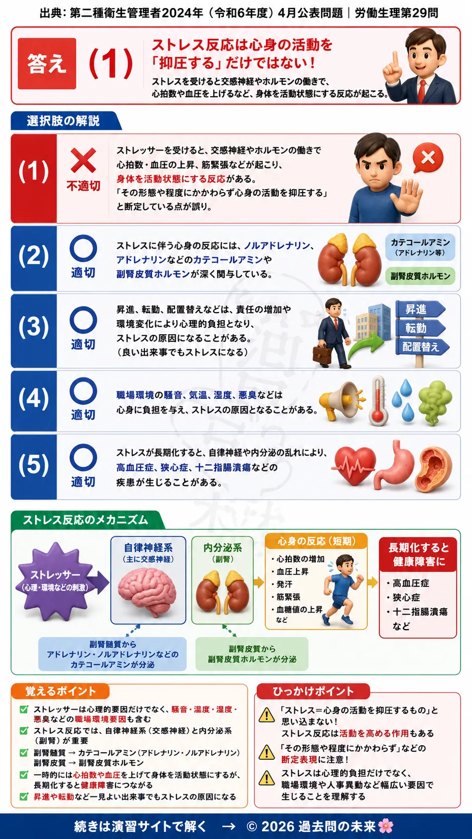 【第二種衛生管理者過去問】2024年4月公表問題｜問29｜ストレス反応と健康障害｜ストレッサー・ホルモン・疾病リスク｜労働生理を解説する画像__2syu-2024-04-seiri-q29