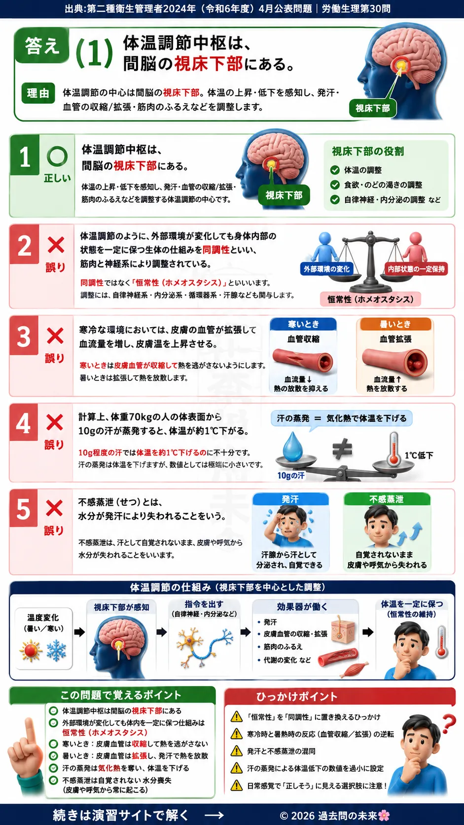 【第二種衛生管理者過去問】2024年4月公表問題｜問30｜体温調節の仕組み｜視床下部・発汗・不感蒸泄・恒常性の基礎知識｜労働生理を解説する画像__2syu-2024-04-seiri-q30