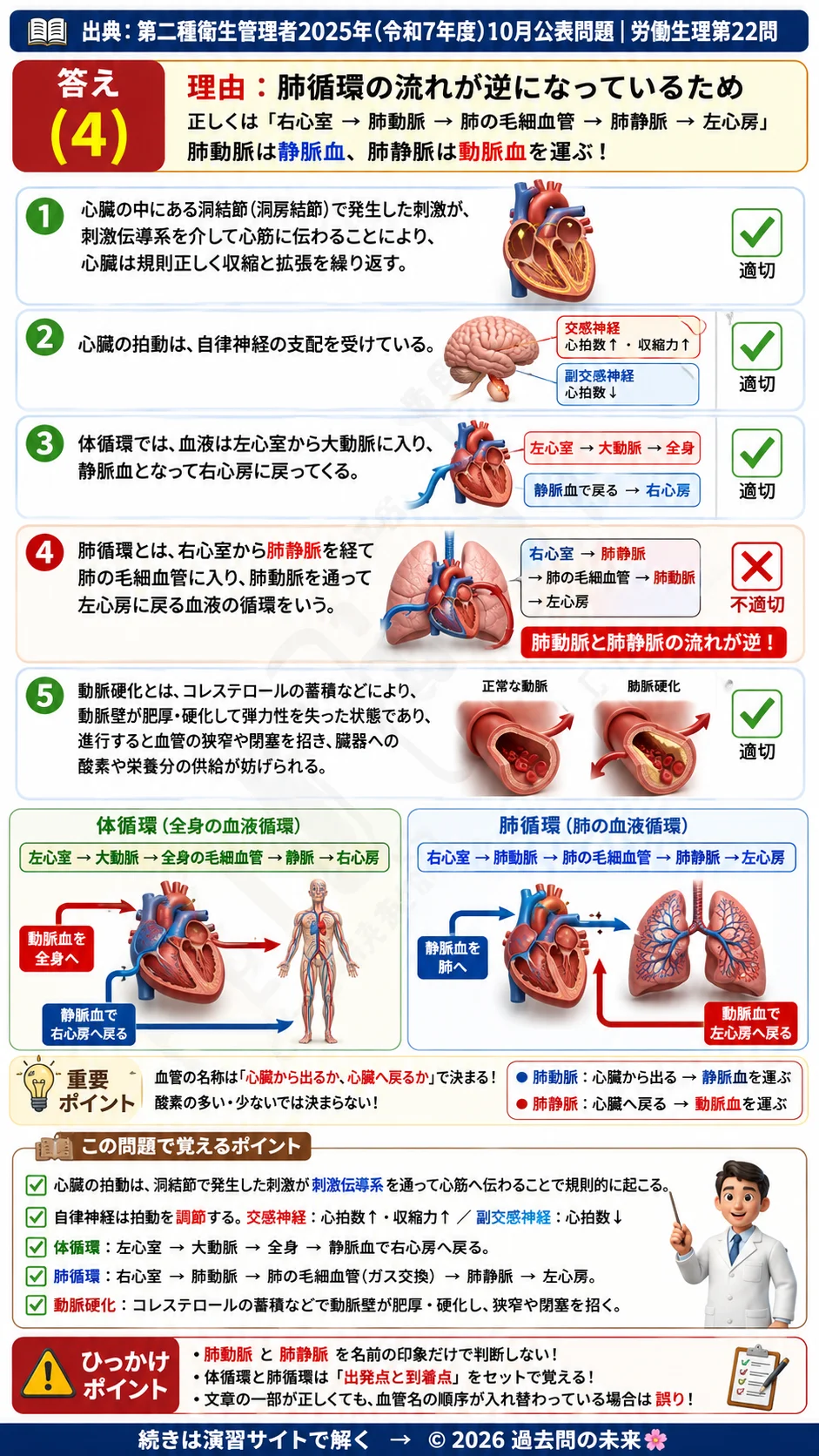 【第二種衛生管理者過去問】2025年10月公表問題｜問22｜心臓の刺激伝導系と体循環・肺循環の基礎知識｜労働生理を解説する画像__2syu-2025-10-seiri-q22