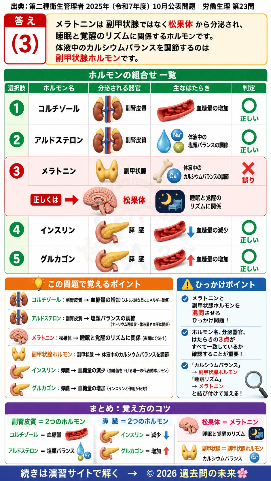 【第二種衛生管理者過去問】2025年10月公表問題｜問23｜ホルモンの種類と内分泌器官・生理作用の組合せ｜労働生理を解説する画像__2syu-2025-10-seiri-q23