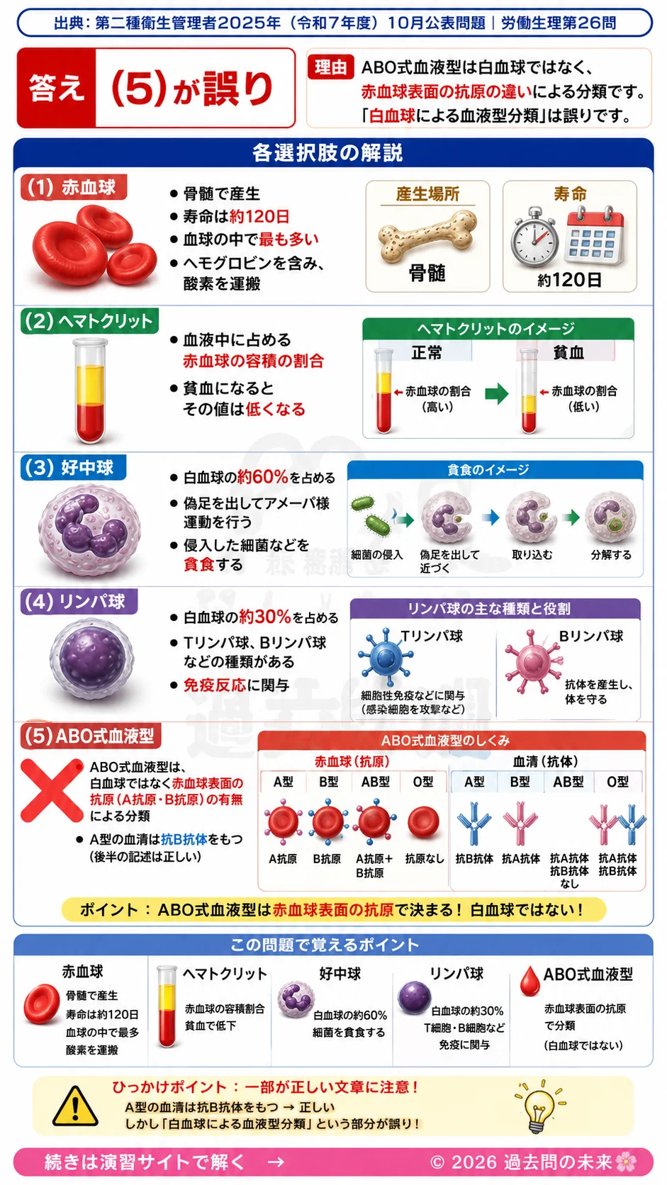 【第二種衛生管理者過去問】2025年10月公表問題｜問26｜血液の成分と赤血球・白血球・血液型の基礎知識｜労働生理を解説する画像__2syu-2025-10-seiri-q26