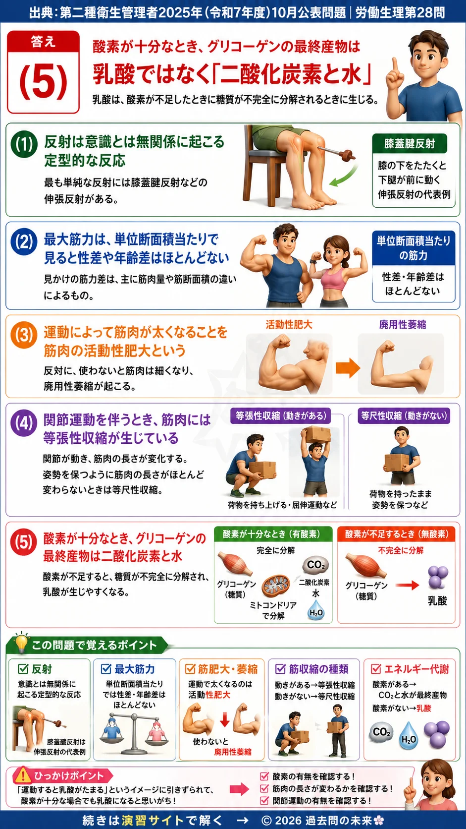 【第二種衛生管理者過去問】2025年10月公表問題｜問28｜筋肉の収縮様式と反射・筋肥大・エネルギー代謝｜労働生理を解説する画像__2syu-2025-10-seiri-q28