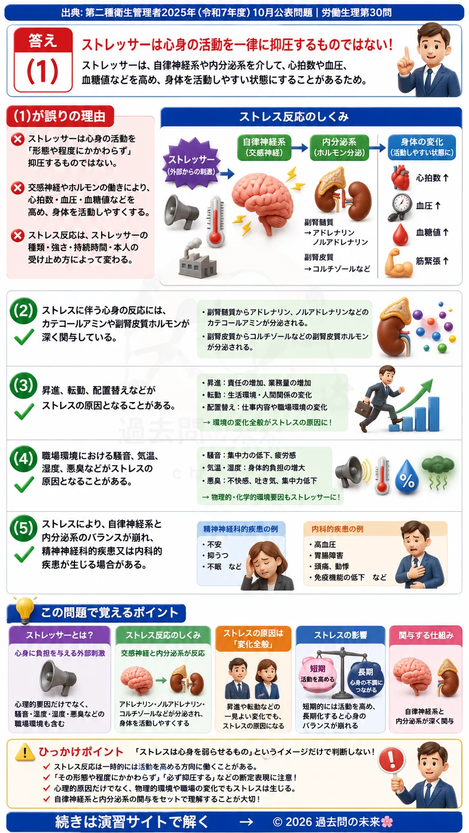 【第二種衛生管理者過去問】2025年10月公表問題｜問30｜ストレス反応の仕組みとストレッサーによる健康影響｜労働生理を解説する画像__2syu-2025-10-seiri-q30