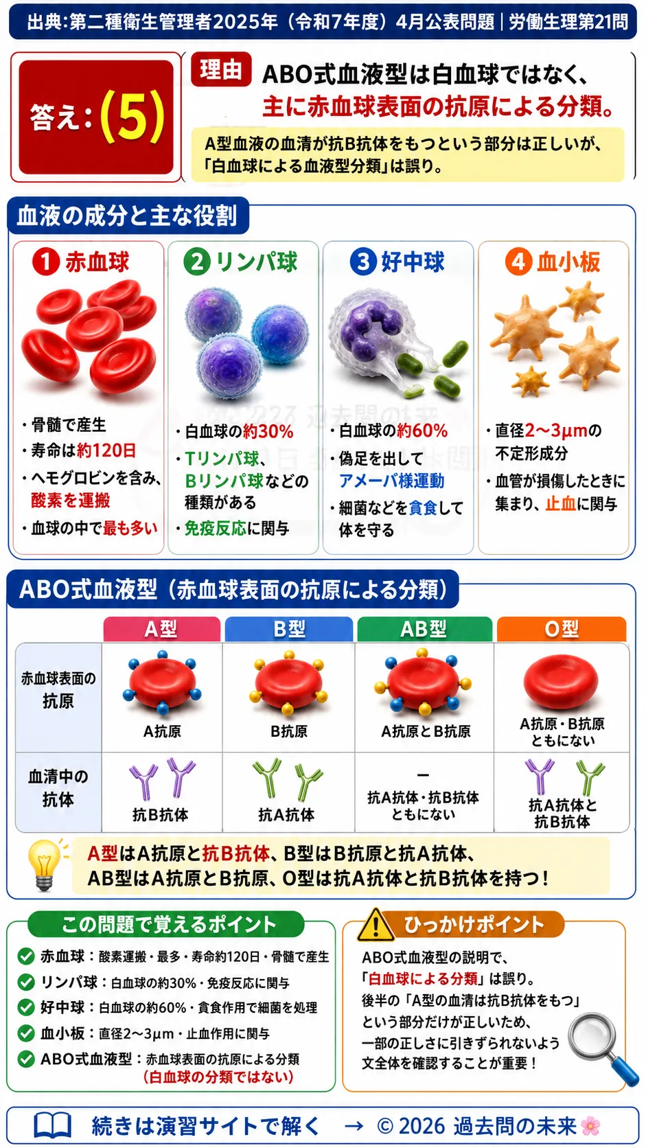 【第二種衛生管理者過去問】2025年4月公表問題｜問21｜血液の基礎知識｜赤血球・白血球・血小板とABO式血液型｜労働生理を解説する画像__2syu-2025-04-seiri-q21