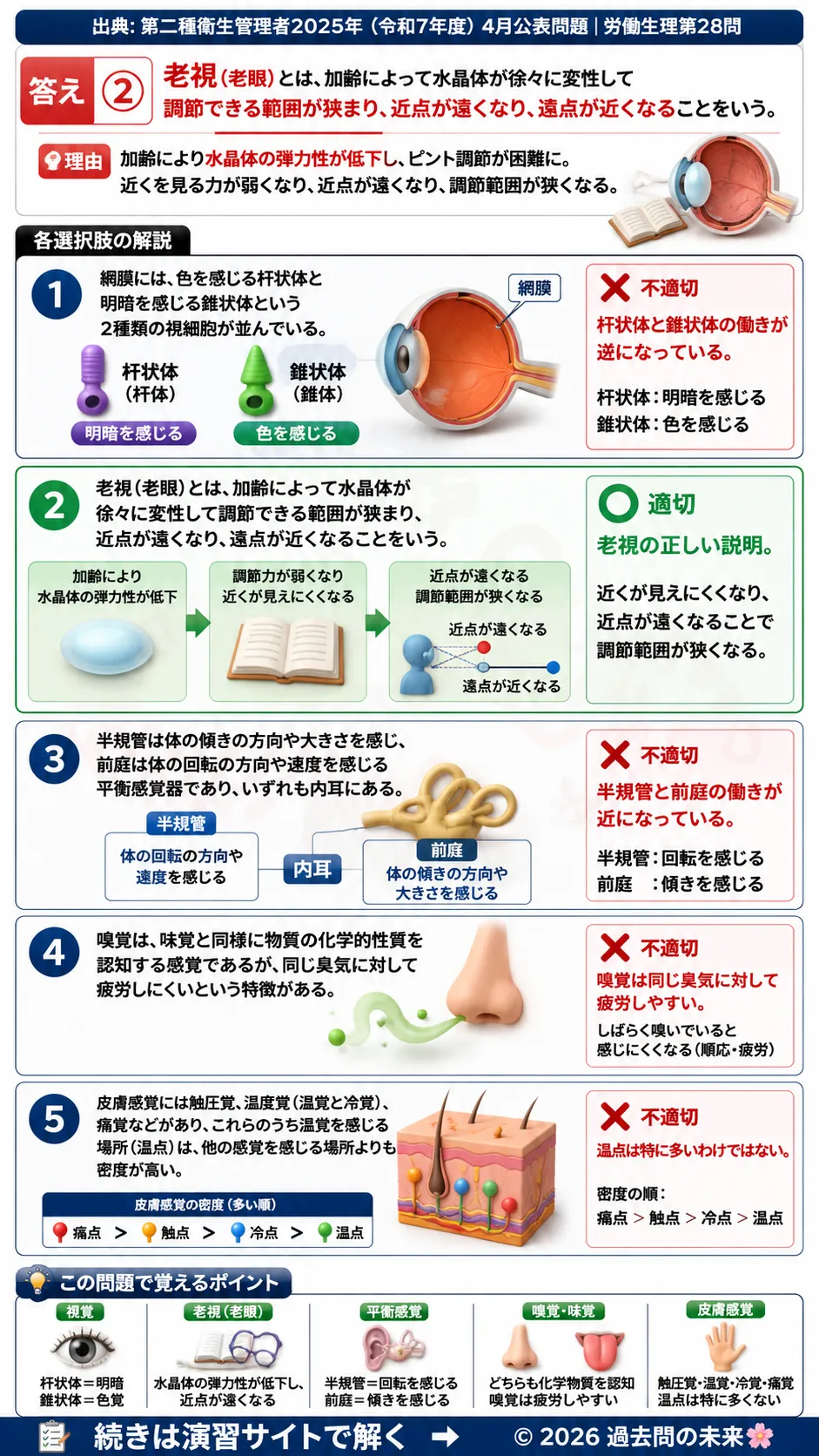 【第二種衛生管理者過去問】2025年4月公表問題｜問28｜感覚器の基礎知識｜視覚・平衡感覚・嗅覚・皮膚感覚の働き｜労働生理を解説する画像__2syu-2025-04-seiri-q28