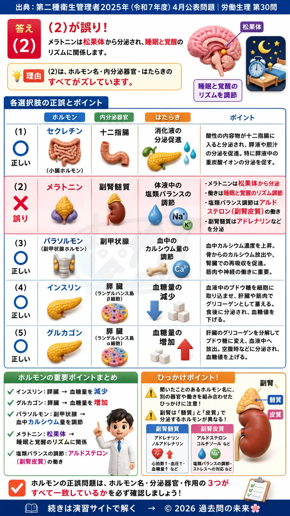 【第二種衛生管理者過去問】2025年4月公表問題｜問30｜ホルモンと内分泌の基礎知識｜インスリン・メラトニン・副甲状腺ホルモンの働き｜労働生理を解説する画像__2syu-2025-04-seiri-q30